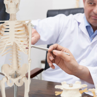 Schelet uman model anatomic 45 cm 2